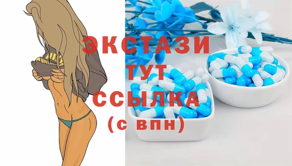 стаф Медногорск