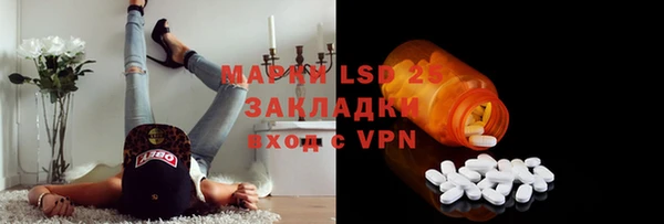 стаф Медногорск