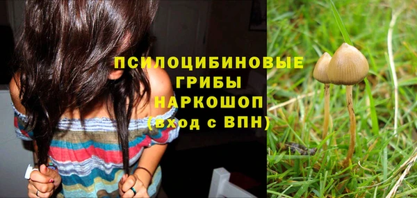 стаф Медногорск