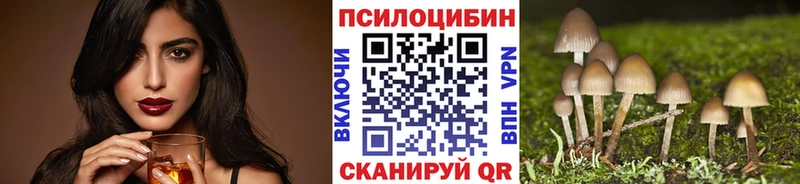 Купить  Черкесск  Псилоцибиновые грибы ЛСД 