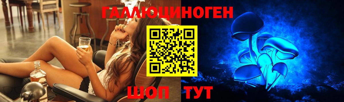 Черкесск  наркотики  Вход с VPN  Псилоцибиновые грибы мухоморы 